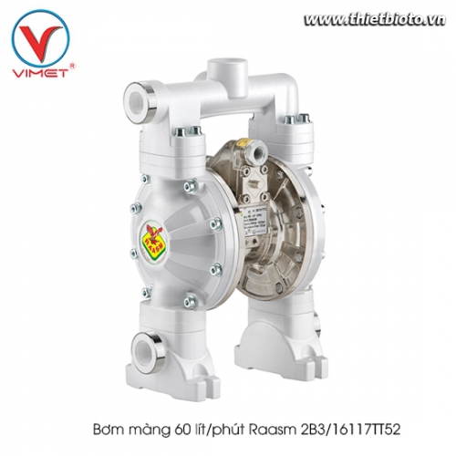 Bơm màng 60 lít/phút Raasm 2B3/16117TT52
