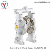Bơm màng 60 lít/phút Raasm 2B3/16117NH52