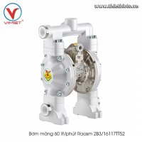 Bơm màng 60 lít/phút Raasm 2B3/16117TT52